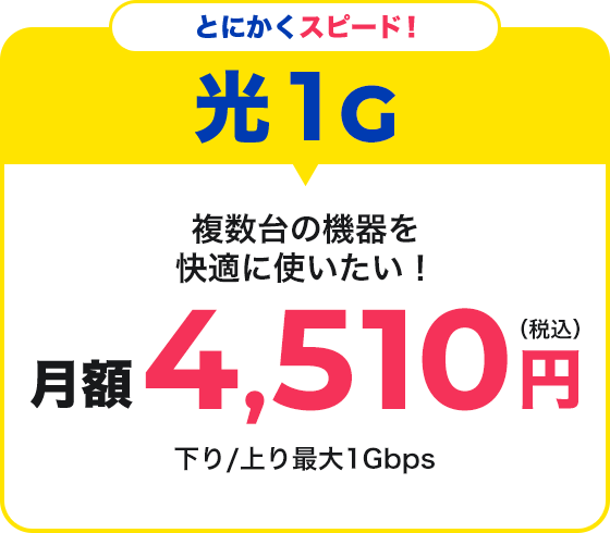 光1G月額4,510円